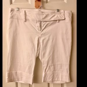 Cargo Shorts